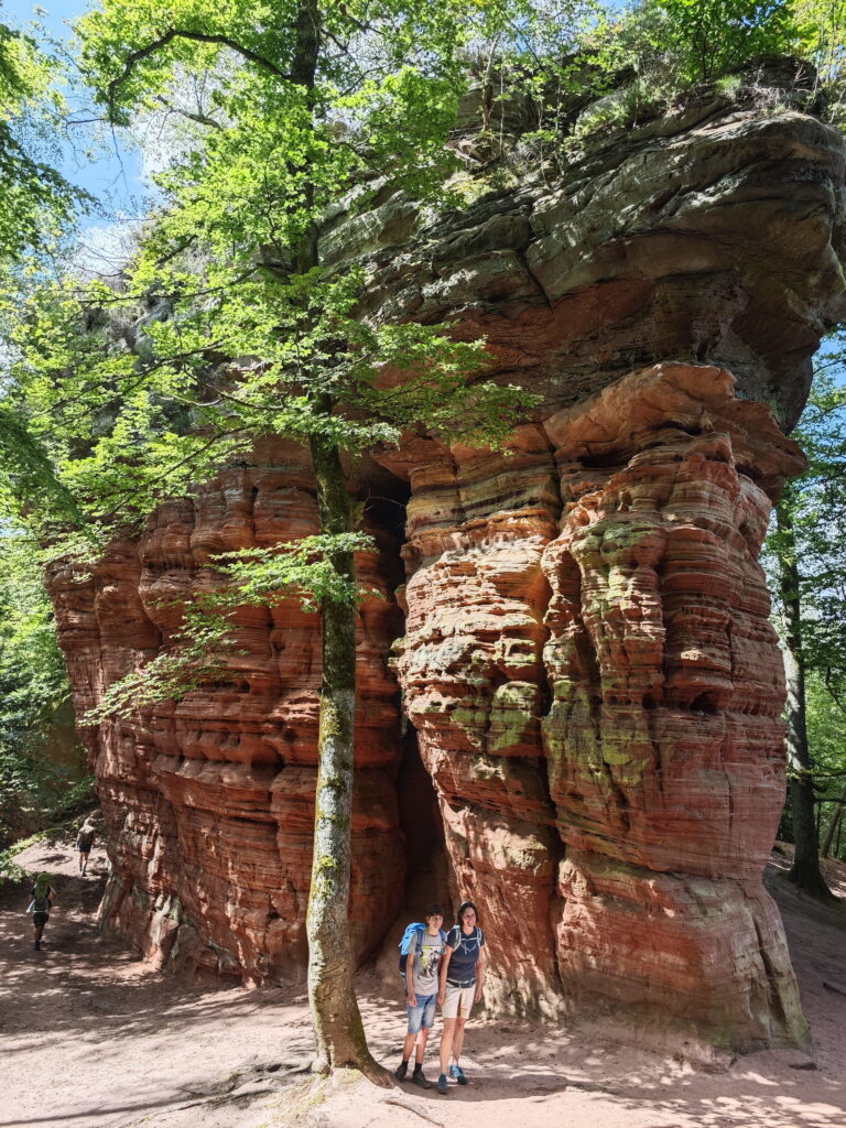 Die Altschlossfelsen sind eine magische Landschaft in der Pfalz