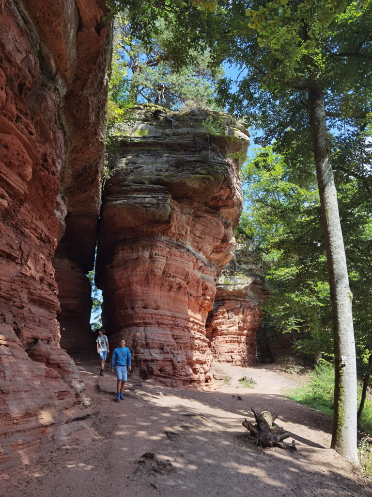 Alle Informationen rund um den Altschlossfelsen Eintritt