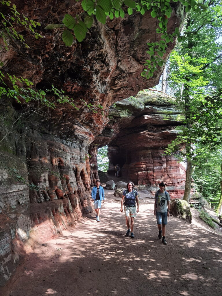 Die gigantische Altschlossfelsen Wanderung im Pfälzerwald